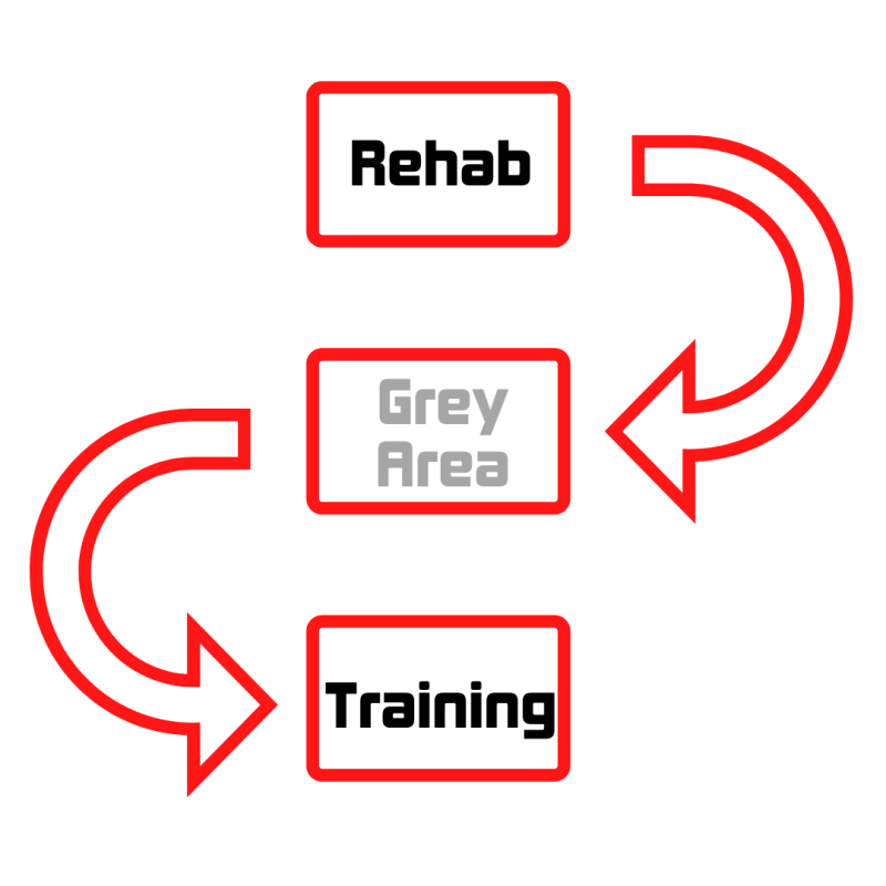 Rehabilitation Vs Training – What is the&nbsp;difference?